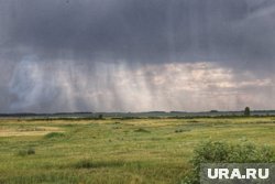 В Курганской области ожидаются дожди 25 мая