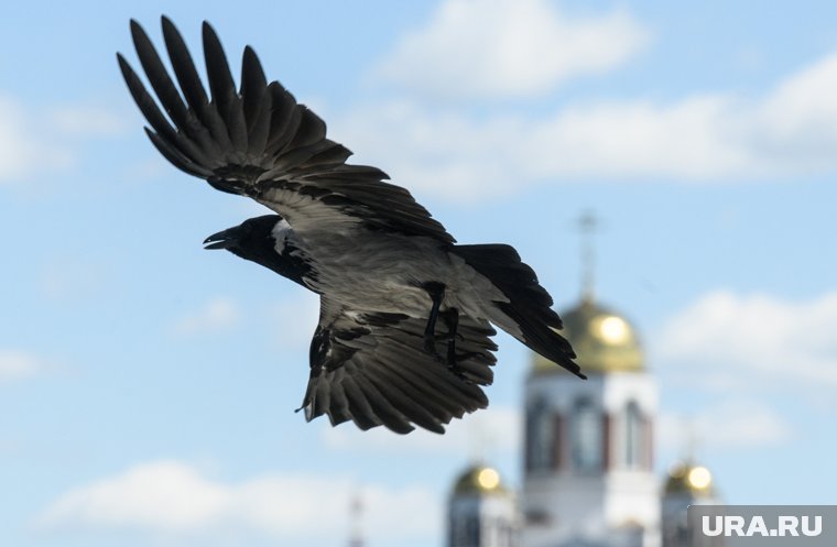 Сергий Радонежский жил в тревожное время для страны
