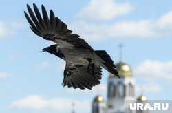 Сергий Радонежский жил в тревожное время для страны