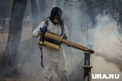 С 1 марта 2025 года нужен специальный сертификат на проведение обработки