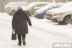 Вместе со снегопадом в Тюмень вернутся морозы