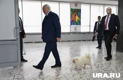 Умка сопровождал Лукашенко на голосовании