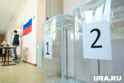 Памфилова заявило что жалоб в избирательных участках практически нет