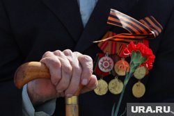 Курганские политики вспомнили родственников, которые спасали страну