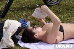 У одобренных спасателями пляжей безопасное дно