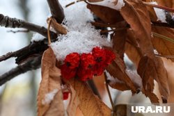 В течение дня температура воздуха будет менять с минуса на плюс и обратно