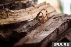 Отель для насекомых в виде домика хоббита собрали из поленьев