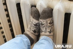 Соответствующие поправки в КоАП могут быть рассмотрены Госдумой уже в четвертом квартале 2025 года