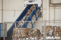 Инвестиции в проект могут превысить 120 млн рублей