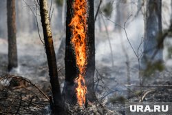 Еще в восьми регионах ожидается пятый класс опасности пожаров