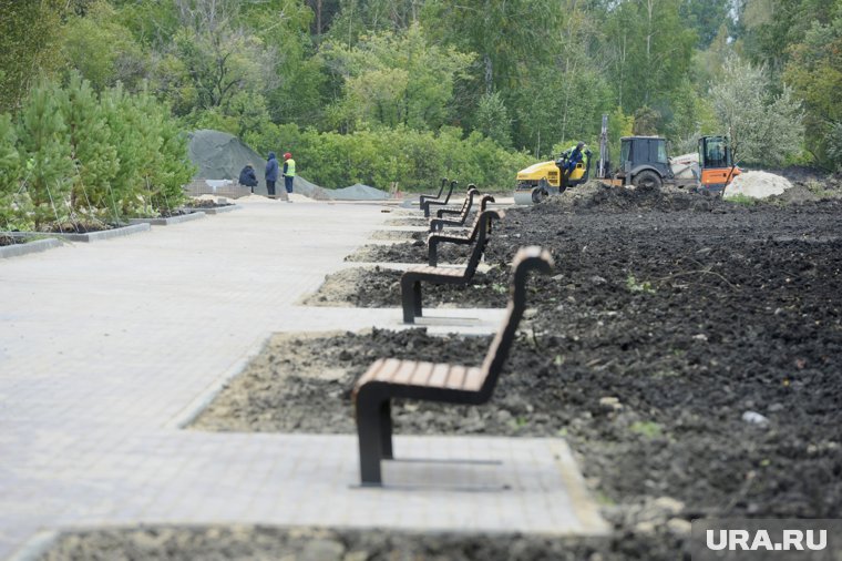 В парке высадят крупномерные саженцы