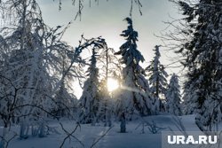Под Красноярском продолжают искать пропавшую семью