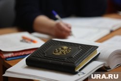 В курганском департаменте экономики приняли на работу консультанта с опытом работы в системе ФНС