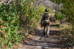 Вместо Юрия Гупалюка обязанности выполняет один из его заместителей