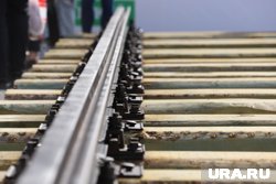 Результаты исследований подтвердили отсутствие опасных вредителей