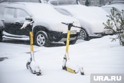 Пользователи электросамокатов будут вынуждены соблюдать ПДД, заявил Володин