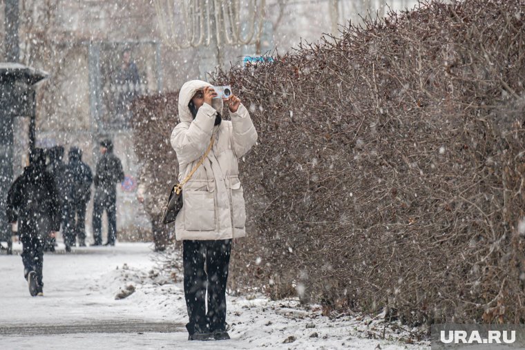 Небольшой снегопад пройдет в Перми