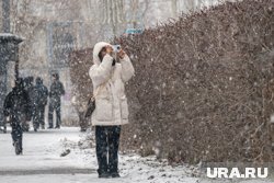 Небольшой снегопад пройдет в Перми