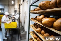 Кредиторская задолженность компании превысила 41 млн рублей (архивное фото)