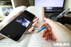В 13 школах Курганской области в классах ввели дистанционное обучение