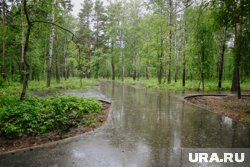Дожди в регионе 6 июля будут кратковременными