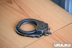 С апреля подозреваемый находится под стражей