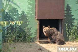 Обитатели зоопарка рады видеть гостей