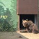 Пермяки толпами идут в новый зоопарк: онлайн-трансляция URA.RU