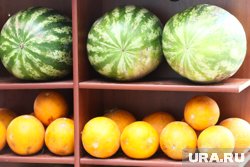 Врачи предупредили, что употребление арбуза и дыни в некоторых случаях может нанести вред здоровью