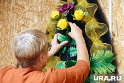 Специализированная служба должна появиться в течение четырех месяцев