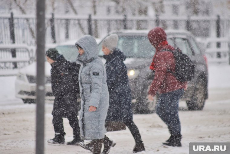 Двое пешеходов были сбиты машиной на переходе в Кургане