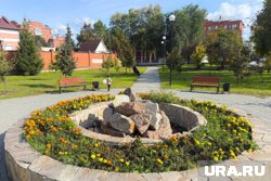 Яблоки и груши впервые появились в Кургане в сквере Розена