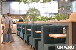 В Кургане хотят открыть сеть ресторанов