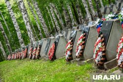 Формировать электронный реестр мест захоронений будет победитель торгов