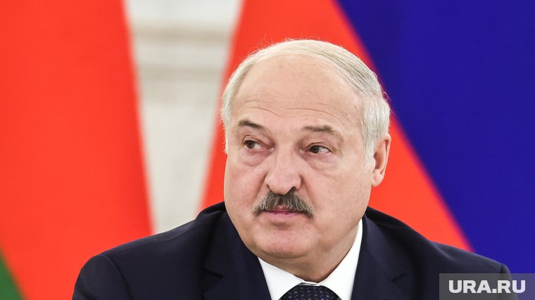 Трамп срочно созвонился с Лукашенко по пути на встречу с Путиным