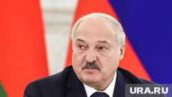 Трамп срочно созвонился с Лукашенко по пути на встречу с Путиным