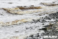 На Парамушире волны цунами вынесли на берег много рыбы и необычных предметов