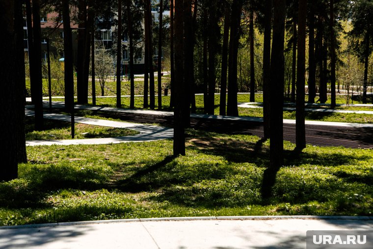 В Ноябрьск-парке установят еще 10 гамаков