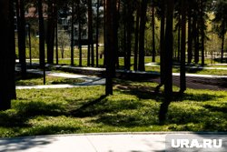 В Ноябрьск-парке установят еще 10 гамаков