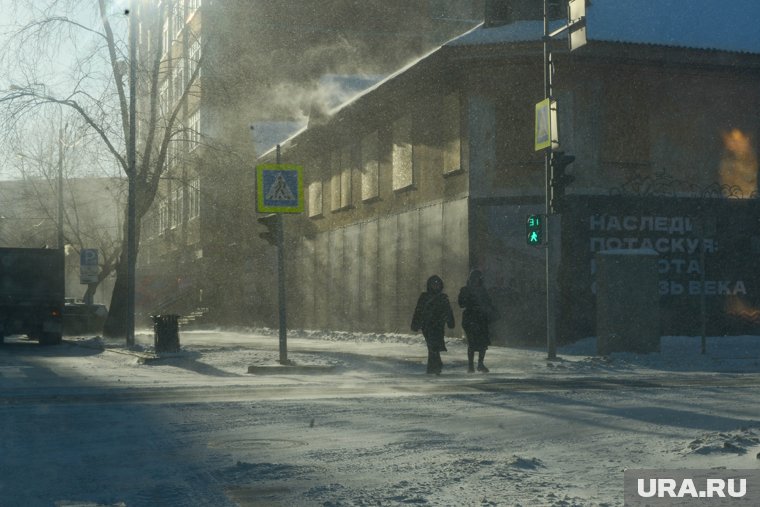 Метель спрогнозировали синоптики в Тюменской области 15 марта