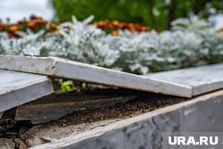 В Куртамышском округе отремонтировали парк после вмешательства приставов