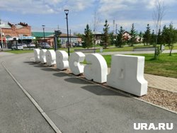 Растительность в горсаду отсутствует