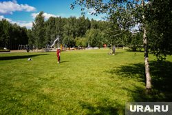 В Тюменском экопарке наиболее обширные поляны для пикников 