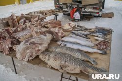 Объемы производства сельскохозяйственной продукции на Ямале упали 