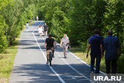 Протяженность велопешеходной дорожки составит 16 километров