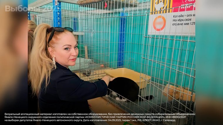 В городском приюте для животных в Ноябрьске. Кота зовут Товарищ. Котейку опекает Ноябрьское городское отделение КПРФ.