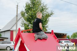 Дети, пожилые и владельцы криптовалют больше всего интересуют мошенников, заявил Гербер