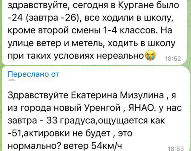 Ученики возмущены, что им пришлось идти в школу 22 и 23 января в мороз и метель