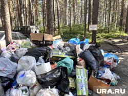 За четыре года в проекте приняли участие 850 волонтеров, которые собрали 7780 кубометров отходов