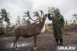 Локацию в стиле хантыйской деревни продают в Октябрьском районе